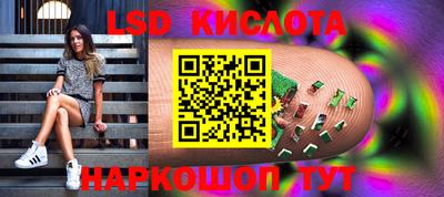 стаф Кулебаки