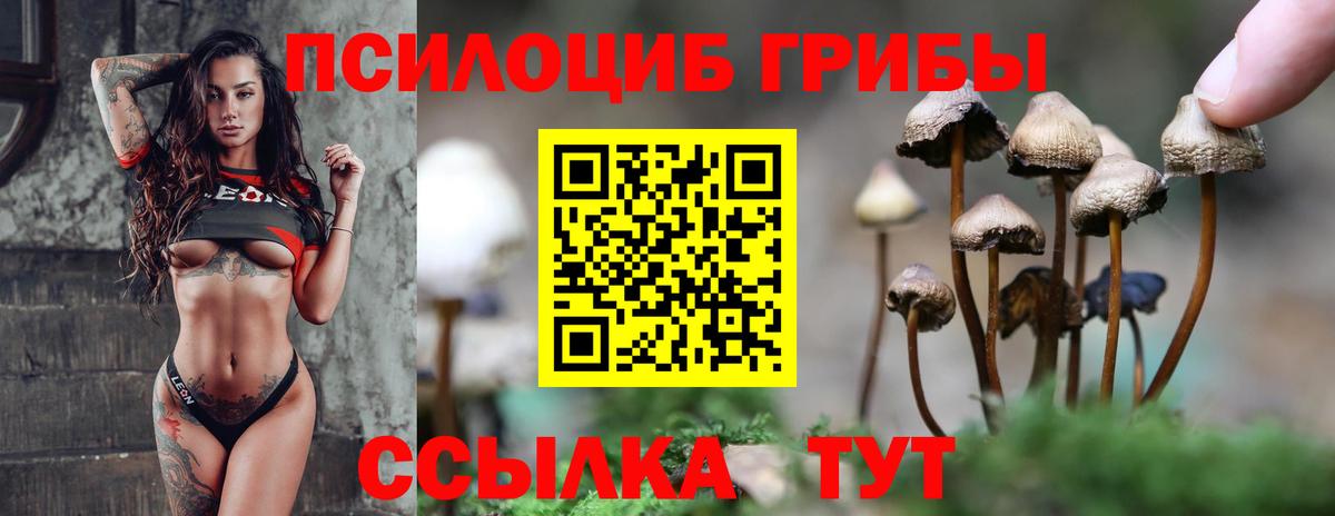 Галлюциногенные грибы мицелий Гай