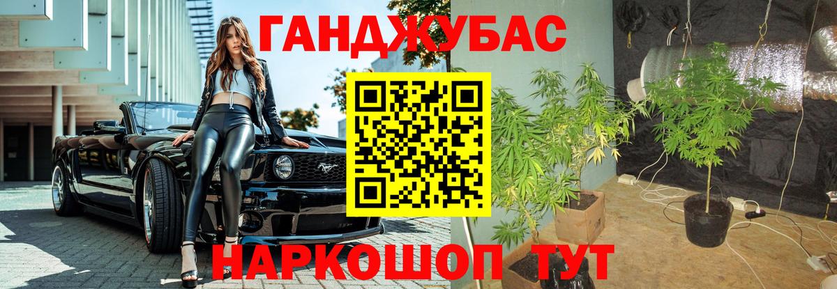 А ПВП Гай