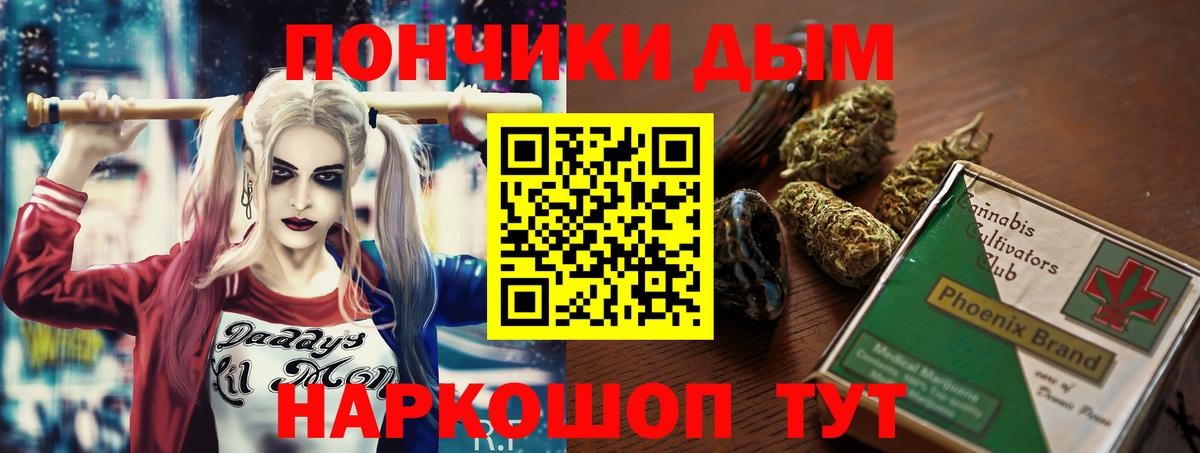 Шишки марихуана семена Гай